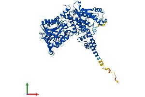 Protein Structure (PS) image for NAD Synthetase 1 (NADSYN1) (AA 1-725) protein (His tag) (ABIN7558151)