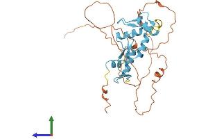 Protein Structure (PS) image for Scratch Homolog 2, Zinc Finger Protein (SCRT2) (AA 1-311) protein (His tag) (ABIN7558873)