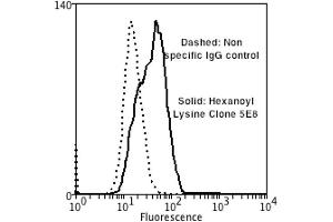 Flow Cytometry analysis using Mouse Anti-Hexanoyl-Lysine adduct Monoclonal Antibody, Clone 5E8 . (Hexanoyl-Lysine Adduct (HEL) 抗体 (Atto 594))