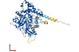 AlphaFold protein structure predicition of Human Recombinant IPPK Protein, UniprotID Q9H8X2