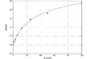 Proadrenomedullin (Pro-ADM) ELISA Kit