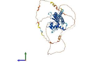 AlphaFold protein structure predicition of Mouse Recombinant Tfap2c Protein, UniprotID Q61312