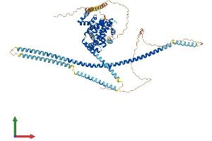 AlphaFold protein structure predicition of Human Recombinant EVI5 Protein, UniprotID O60447 (EVI5 Protein (AA 1-810) (His tag))