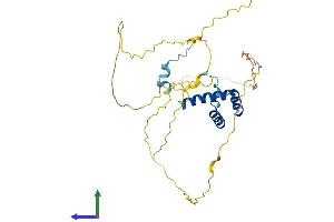 Protein Structure (PS) image for NK1 Homeobox 2 (NKX1-2) (AA 1-305) protein (His tag) (ABIN7563245)