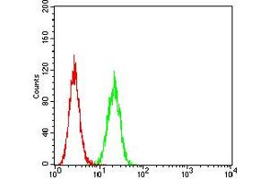 Flow cytometric analysis of Hela cells using GLRB mouse mAb (green) and negative control (red). (GLRB 抗体  (AA 23-160))