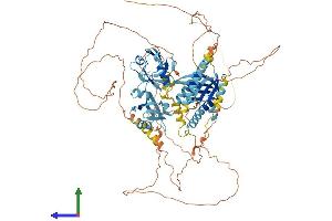AlphaFold protein structure predicition of Mouse Recombinant Apba1 Protein, UniprotID B2RUJ5 (APBA1 Protein (AA 1-842) (His tag))