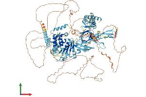 Protein Structure (PS) image for Minichromosome Maintenance Deficient 9 (MCM9) (AA 1-1134) protein (His tag) (ABIN7563647)