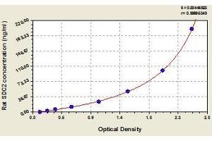 Typical standard curve (Syndecan 2 ELISA 试剂盒)