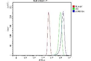 Flow Cytometry analysis of U251 cells using anti-ATP6V1A antibody (ABIN7599916).