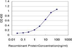 Detection limit for recombinant GST tagged IFNE1 is approximately 0. (IFNE 抗体  (AA 109-208))