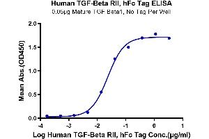 ELISA image for Transforming Growth Factor, beta Receptor II (70/80kDa) (TGFBR2) (AA 24-159) protein (Fc Tag) (ABIN7275719)