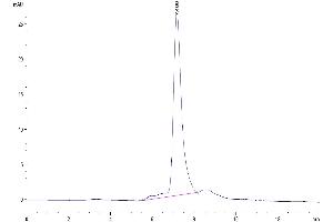The purity of Mouse TREML2/TLT-2 is greater than 95 % as determined by SEC-HPLC.