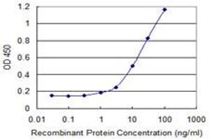 Detection limit for recombinant GST tagged ARHGAP6 is 0. (ARHGAP6 抗体  (AA 531-636))