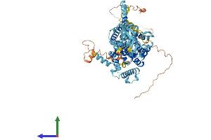Protein Structure (PS) image for Solute Carrier Family 34 (Sodium Phosphate), Member 2 (SLC34A2) (AA 1-697) protein (His tag) (ABIN7561292)