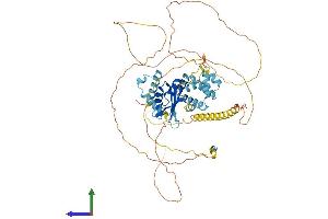 Protein Structure (PS) image for Cleavage Stimulation Factor, 3' Pre-RNA, Subunit 2, 64kDa (CSTF2) (AA 1-580) protein (His tag) (ABIN7558683)