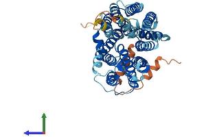 Protein Structure (PS) image for Solute Carrier Family 29 Member 3 (SLC29A3) (AA 1-475) protein (His tag) (ABIN7545924)