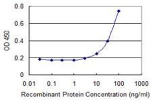 Detection limit for recombinant GST tagged ZHX3 is 1 ng/ml as a capture antibody. (ZHX3 抗体  (AA 863-955))