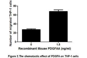 PDGFA (Platelet-derived growth factor subunit A) is a Growth factor that plays an essential role in the regulation of embryonic development, cell proliferation, cell migration, survival and chemotaxis.