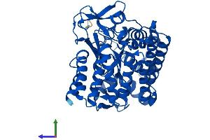 AlphaFold protein structure predicition of Human Recombinant SMYD2 Protein, UniprotID Q9NRG4