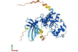 Protein Structure (PS) image for Cyclin-Dependent Kinase 6 (CDK6) (AA 1-326) protein (His tag) (ABIN7553303)