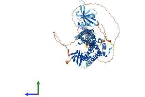 Protein Structure (PS) image for rho GTPase Activating Protein 10 (ARHGAP10) (AA 1-786) protein (His tag) (ABIN7555195)