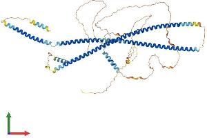 Protein Structure (PS) image for Beaded Filament Structural Protein 1, Filensin (BFSP1) (AA 1-669) protein (His tag) (ABIN7561938)