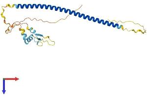 AlphaFold protein structure predicition of Human Recombinant ZBED3 Protein, UniprotID Q96IU2