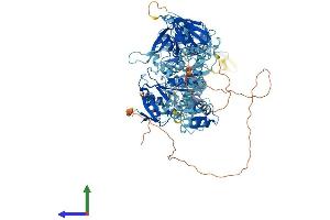 AlphaFold protein structure predicition of Human Recombinant MYO1E Protein, UniprotID Q12965