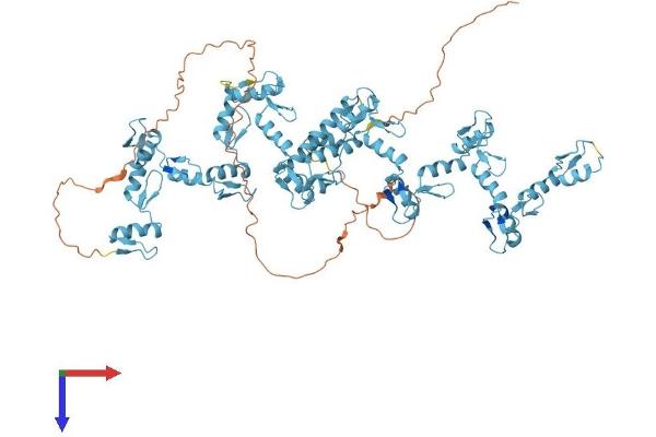 ZNF184 Protein (AA 1-751) (His tag)
