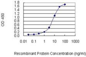Detection limit for recombinant GST tagged TAGLN3 is 0. (Transgelin 3 抗体  (AA 1-199))