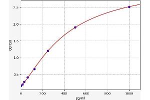Oncostatin M (OSM) ELISA Kit