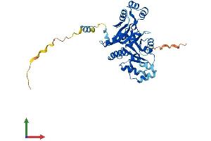 AlphaFold protein structure predicition of Human Recombinant NT5C1A Protein, UniprotID Q9BXI3