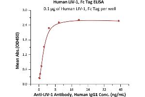 Immobilized Human LIV-1, Fc Tag (ABIN6973148) at 1 μg/mL (100 μL/well) can bind Anti-LIV-1 antibody, Human IgG1 with a linear range of 0. (SLC39A6 Protein (AA 29-325) (Fc Tag))