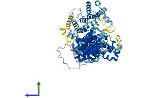 AlphaFold protein structure predicition of Mouse Recombinant Ap5z1 Protein, UniprotID Q3U829