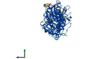 AlphaFold protein structure predicition of Mouse Recombinant Tkfc Protein, UniprotID Q8VC30
