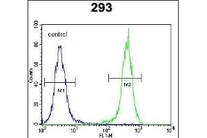OTUD6B Antibody (C-term) (ABIN651994 and ABIN2840487) flow cytometric analysis of 293 cells (right histogram) compared to a negative control cell (left histogram). (OTUD6B 抗体  (C-Term))