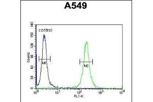 T Antibody (C-term) (ABIN654955 and ABIN2844595) flow cytometric analysis of A549 cells (right histogram) compared to a negative control cell (left histogram). (TMEM168 抗体  (C-Term))