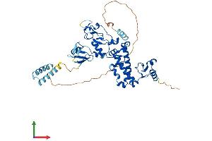 AlphaFold protein structure predicition of Mouse Recombinant Def8 Protein, UniprotID Q99J78 (DEF8 Protein (AA 1-448) (His tag))