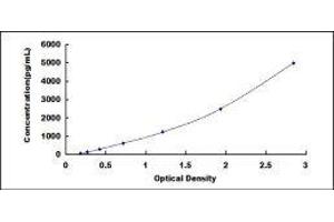 Metastasis Associated 1 Family, Member 2 (MTA2) ELISA Kit