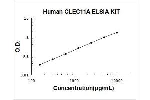 Typical Standard Curve