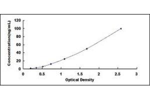 Typical standard curve (Bcl-2 ELISA 试剂盒)