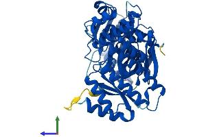 Protein Structure (PS) image for Galactokinase 2 (GALK2) (AA 1-458) protein (His tag) (ABIN7547800)
