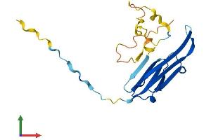 Protein Structure (PS) image for Crystallin, alpha B (CRYAB) (AA 1-175) protein (His tag) (ABIN7546772)