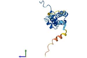 Protein Structure (PS) image for CGRP Receptor Component (CRCP) (AA 1-148) protein (His tag) (ABIN7551536)