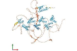 AlphaFold protein structure predicition of Human Recombinant ZNF112 Protein, UniprotID Q9UJU3