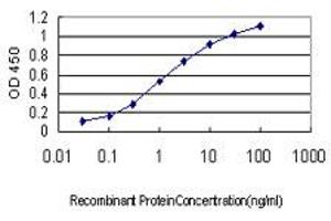 Detection limit for recombinant GST tagged BTF3 is approximately 0. (BTF3 抗体  (AA 1-162))