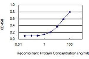 ELISA image for anti-XYD Domain Containing Ion Transport Regulator 2 (FXYD2) (AA 1-64) antibody (ABIN559991)