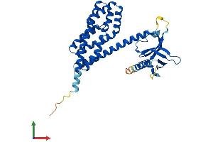 Protein Structure (PS) image for Chromosome 9 Open Reading Frame 100 (C9orf100) (AA 1-344) protein (His tag) (ABIN7557865)
