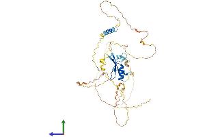 AlphaFold protein structure predicition of Human Recombinant ZNF704 Protein, UniprotID Q6ZNC4