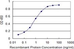 Detection limit for recombinant GST tagged RELA is 0. (NF-kB p65 抗体  (AA 432-505))